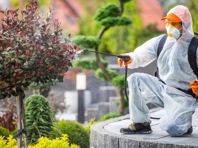 Bozkır Haşere İlaçlama